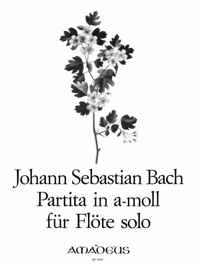 Bach: Partita in A Minor for Solo Flute, BWV 1013