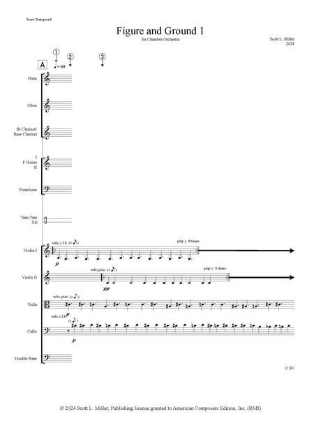 S.L. Miller: Figure and Ground 1