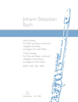 Bach: 3 Flute Sonatas (arr. for 2 flutes), BWV 1033, 1031, & 1020