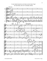 Prokofiev: Peter and the Wolf, Op. 67 (arr. for recorder quintet)