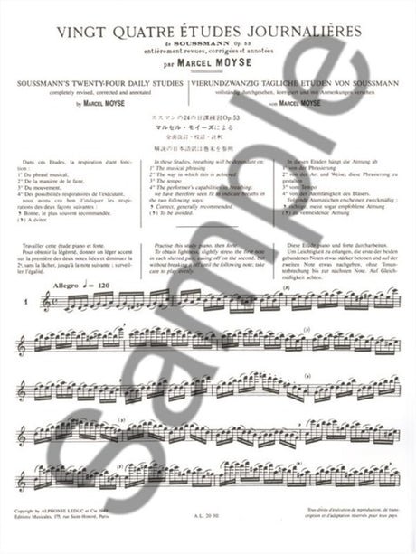 Moyse: 24 Daily Studies Based on Soussmann's, Op. 53