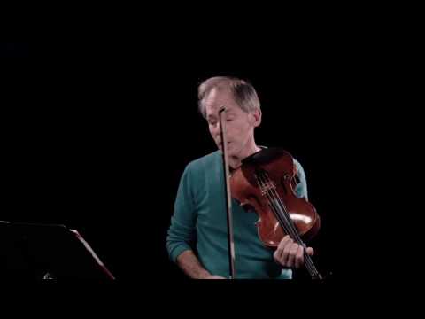 Knox: Viola Spaces